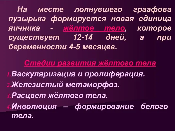 На месте лопнувшего граафова пузырька формируется новая единица яичника -