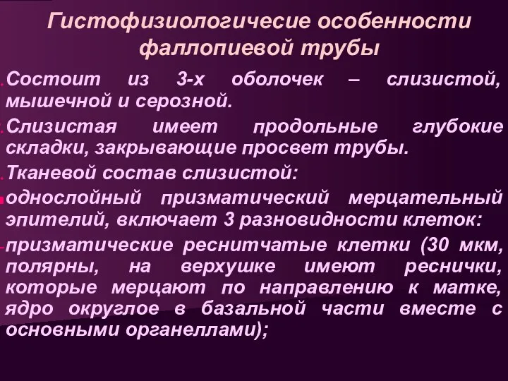 Гистофизиологичесие особенности фаллопиевой трубы Состоит из 3-х оболочек – слизистой,