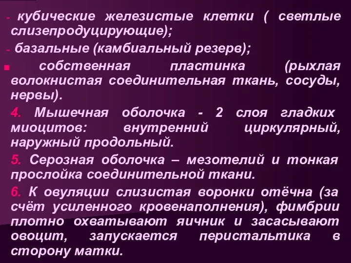 кубические железистые клетки ( светлые слизепродуцирующие); базальные (камбиальный резерв); собственная