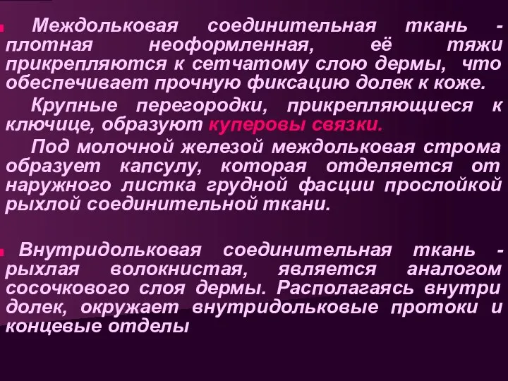 Междольковая соединительная ткань - плотная неоформленная, её тяжи прикрепляются к