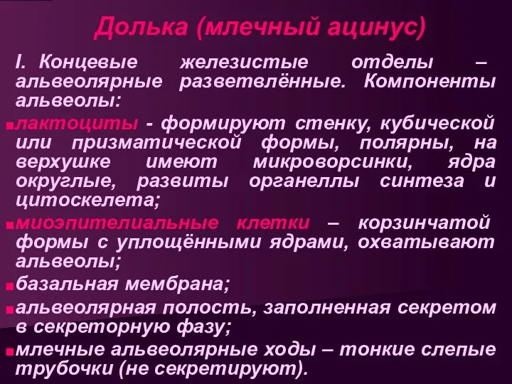 Долька (млечный ацинус) I. Концевые железистые отделы – альвеолярные разветвлённые.