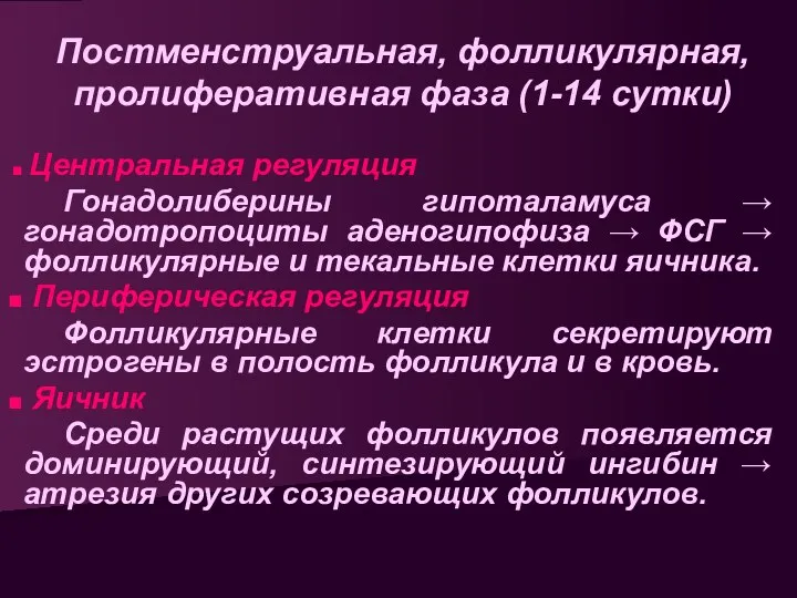 Постменструальная, фолликулярная, пролиферативная фаза (1-14 сутки) Центральная регуляция Гонадолиберины гипоталамуса