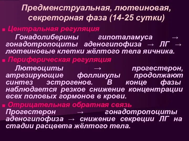 Предменструальная, лютеиновая, секреторная фаза (14-25 сутки) Центральная регуляция Гонадолиберины гипоталамуса