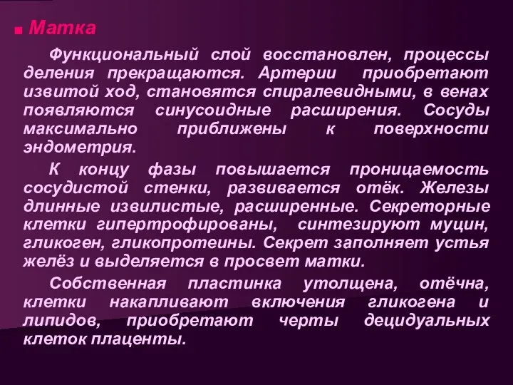 Матка Функциональный слой восстановлен, процессы деления прекращаются. Артерии приобретают извитой