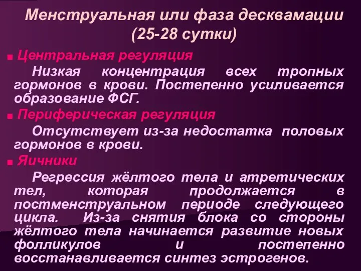 Менструальная или фаза десквамации (25-28 сутки) Центральная регуляция Низкая концентрация