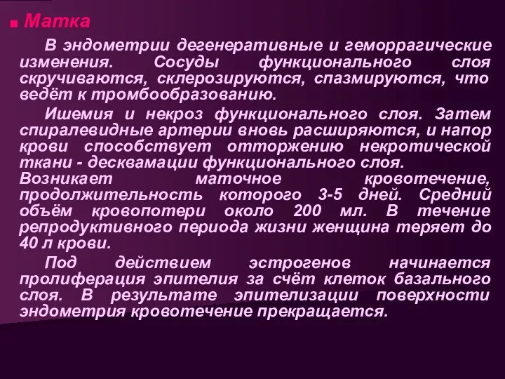 Матка В эндометрии дегенеративные и геморрагические изменения. Сосуды функционального слоя