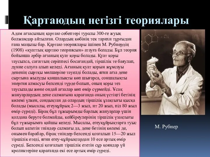 Қартаюдың негізгі теориялары Адам ағзасының қартаю себептері туралы 300-ге жуық