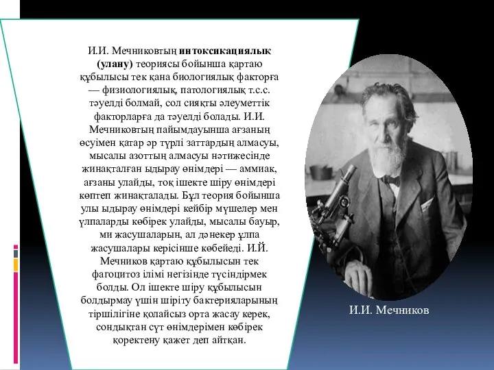 И.И. Мечниковтың интоксикациялық (улану) теориясы бойынша қартаю құбылысы тек қана