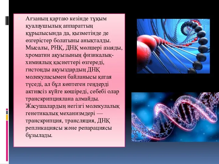 Ағзаның қартаю кезінде тұқым қуалаушылық аппараттың құрылысында да, қызметінде де