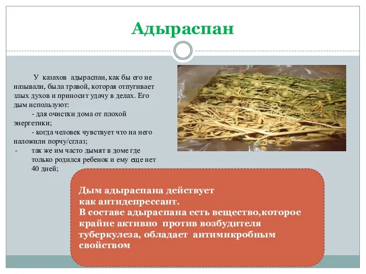 Адыраспан У казахов адыраспан, как бы его не называли, была