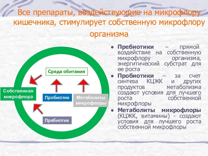 Все препараты, воздействующие на микрофлору кишечника, стимулирует собственную микрофлору организма