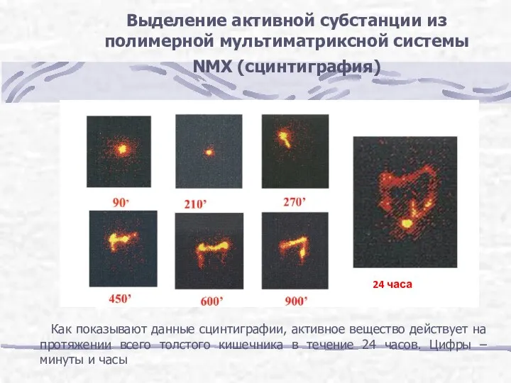 Выделение активной субстанции из полимерной мультиматриксной системы NMX (сцинтиграфия) Как