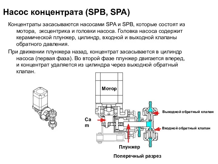 Насос концентрата (SPB, SPA) Концентраты засасываются насосами SPA и SPB, которые состоят из