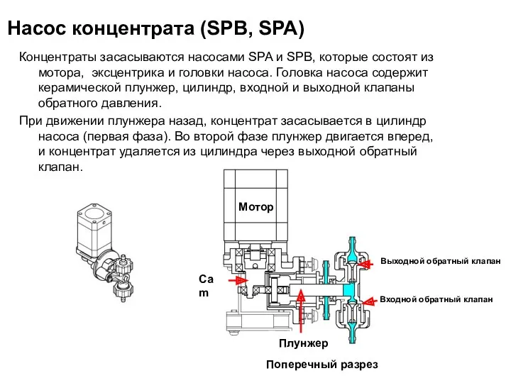 Насос концентрата (SPB, SPA) Концентраты засасываются насосами SPA и SPB,