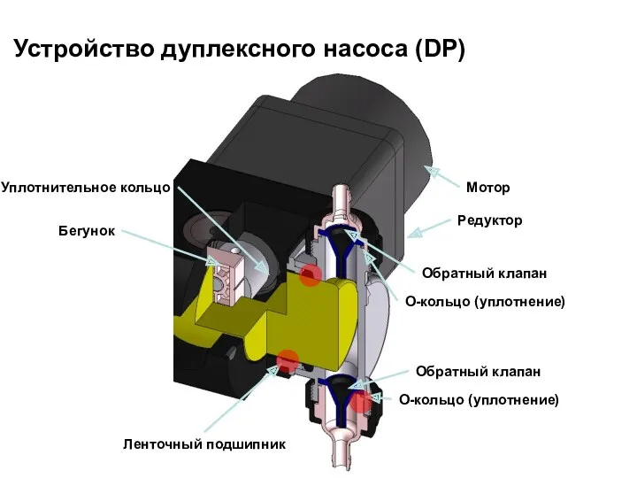 O-кольцо (уплотнение) Уплотнительное кольцо Бегунок Ленточный подшипник Мотор Редуктор Обратный