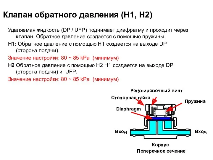 Клапан обратного давления (H1, H2) Корпус Поперечное сечение Удаляемая жидкость