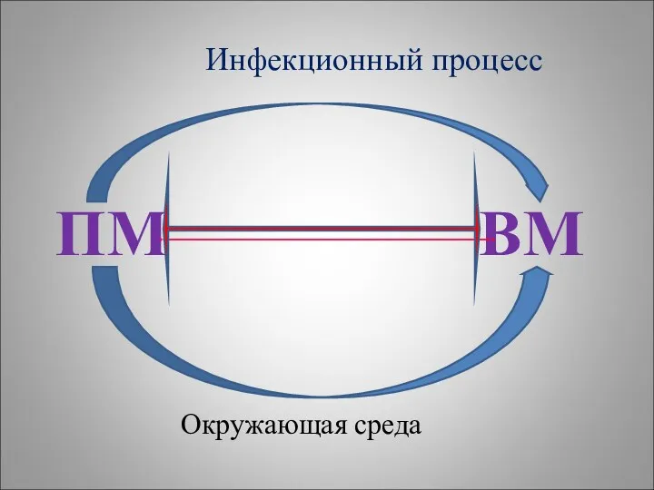 Инфекционный процесс ПМ ВМ Окружающая среда