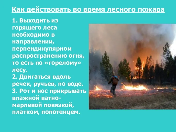 Как действовать во время лесного пожара 1. Выходить из горящего
