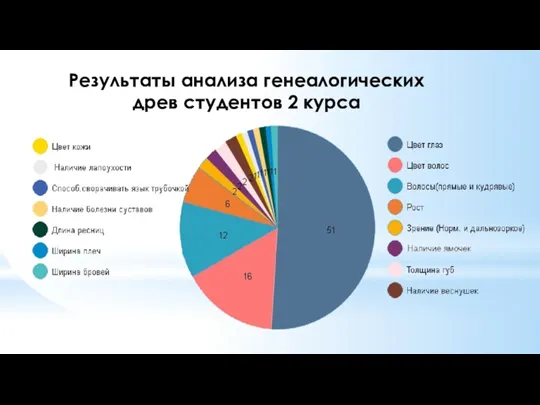 Результаты анализа генеалогических древ студентов 2 курса