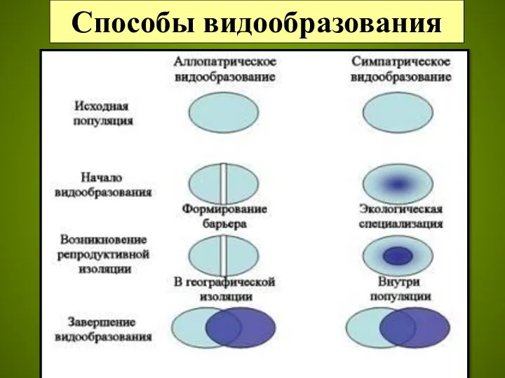 Способы видообразования