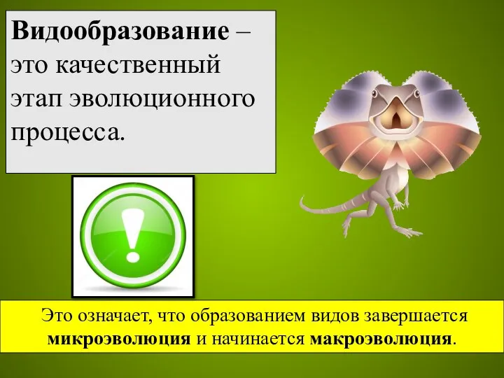 Видообразование – это качественный этап эволюционного процесса. Это означает, что образованием видов завершается