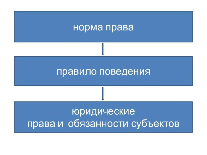 норма права правило поведения юридические права и обязанности субъектов