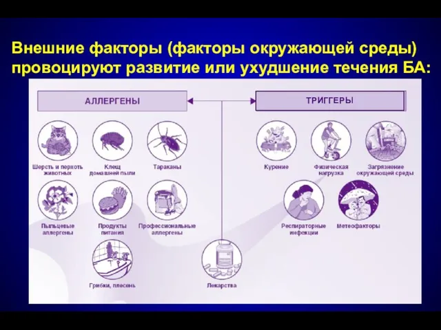 Внешние факторы (факторы окружающей среды) провоцируют развитие или ухудшение течения БА: ТРИГГЕРЫ