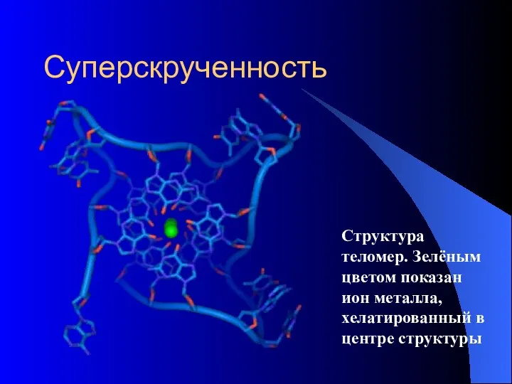 Суперскрученность Структура теломер. Зелёным цветом показан ион металла, хелатированный в центре структуры