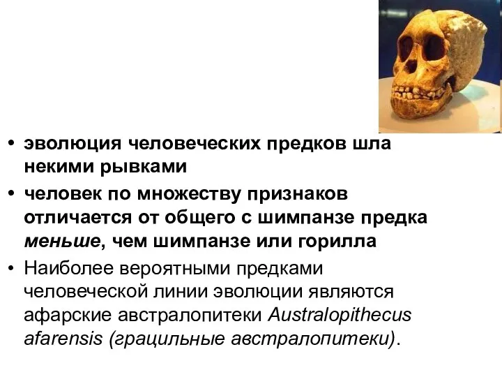 эволюция человеческих предков шла некими рывками человек по множеству признаков