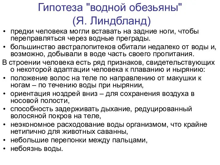 Гипотеза "водной обезьяны" (Я. Линдбланд) предки человека могли вставать на