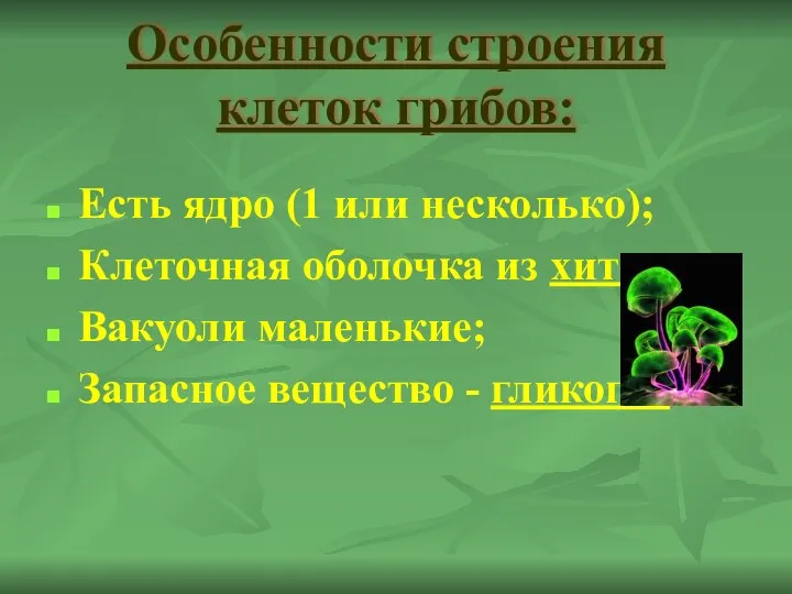 Особенности строения клеток грибов: Есть ядро (1 или несколько); Клеточная