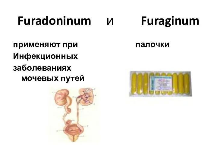 Furadoninum и Furaginum применяют при Инфекционных заболеваниях мочевых путей палочки