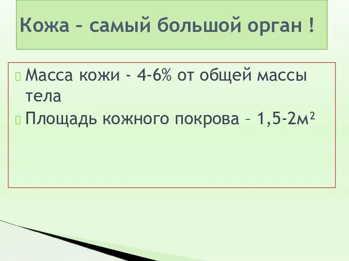 Кожа – самый большой орган ! Масса кожи - 4-6% от общей массы