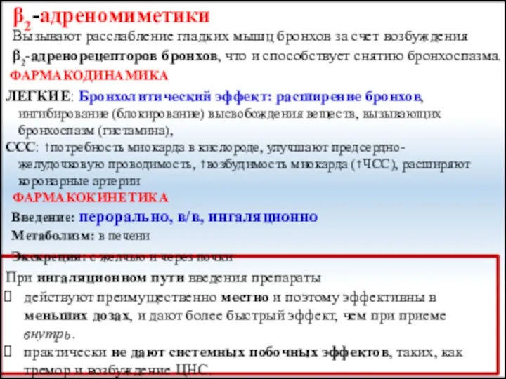 β2-адреномиметики Вызывают расслабление гладких мышц бронхов за счет возбуждения β2-адренорецепторов