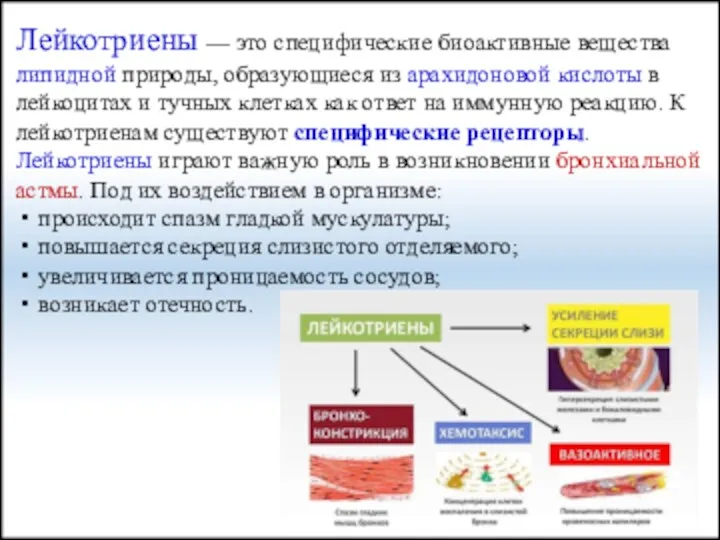 Лейкотриены — это специфические биоактивные вещества липидной природы, образующиеся из