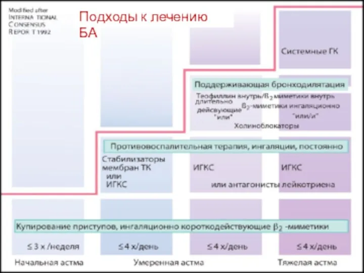 Подходы к лечению БА