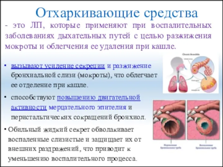 Отхаркивающие средства - это ЛП, которые применяют при воспалительных заболеваниях