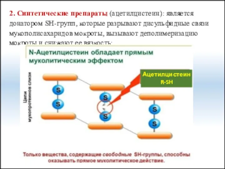 2. Синтетические препараты (ацетилцистеин): является донатором SH-групп, которые разрывают дисульфидные