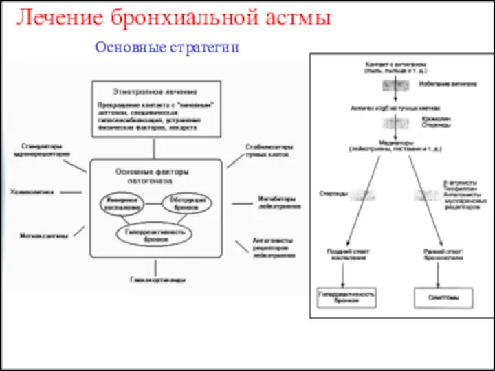 Лечение бронхиальной астмы Основные стратегии