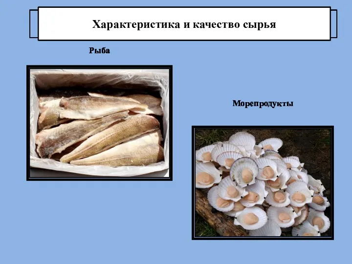 Характеристика и качество сырья Рыба Морепродукты