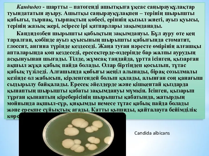 Кандидоз - шартты – патогенді ашытқыға ұқсас саңырауқұлақтар туындататын ауыру. Ашытқы саңырауқұлақпен –