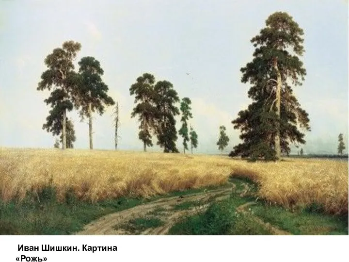 Иван Шишкин. Картина «Рожь»