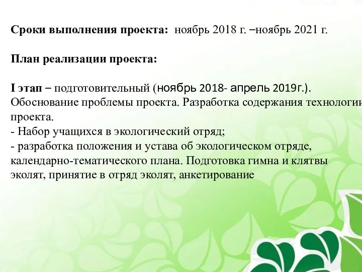 Сроки выполнения проекта: ноябрь 2018 г. –ноябрь 2021 г. План