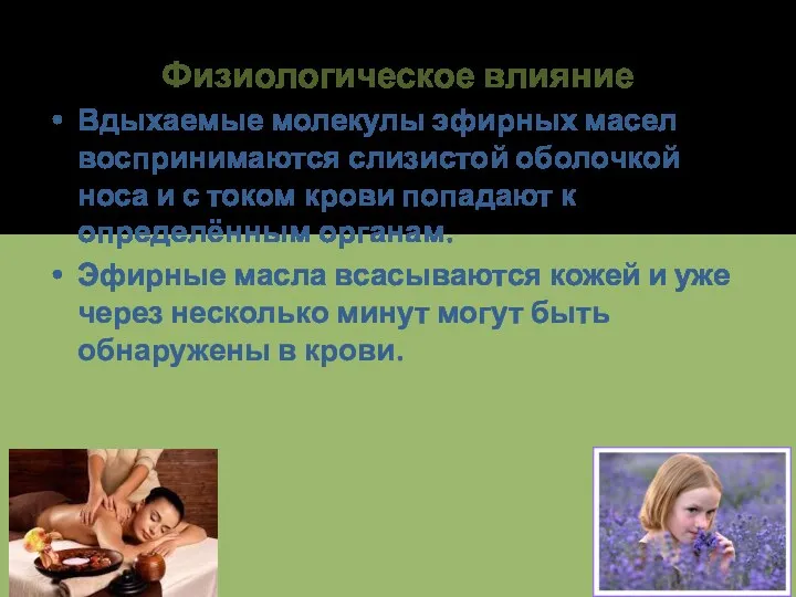 Физиологическое влияние Вдыхаемые молекулы эфирных масел воспринимаются слизистой оболочкой носа