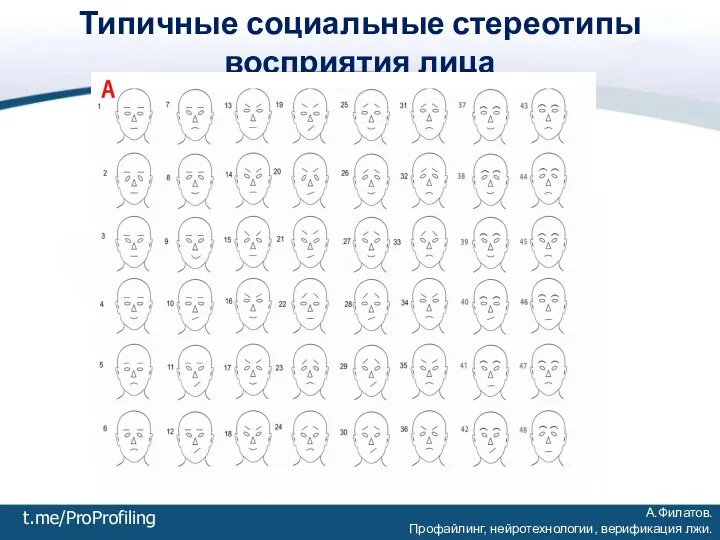 А.Филатов. Профайлинг, нейротехнологии, верификация лжи. t.me/ProProfiling Типичные социальные стереотипы восприятия лица