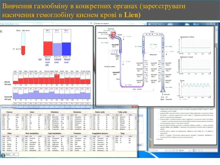 Вивчення газообміну в конкретних органах (зареєструвати насичення гемоглобіну киснем крові в Lien)