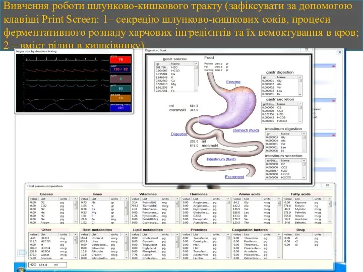 Вивчення роботи шлунково-кишкового тракту (зафіксувати за допомогою клавіші Print Screen: