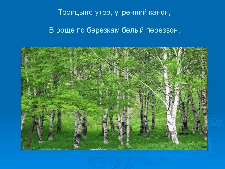 Троицыно утро, утренний канон, В роще по березкам белый перезвон.