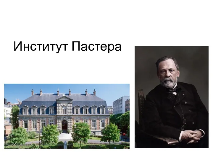 Институт Пастера