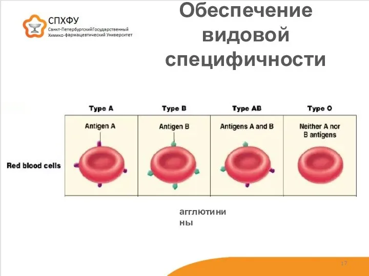 Обеспечение видовой специфичности агглютинины